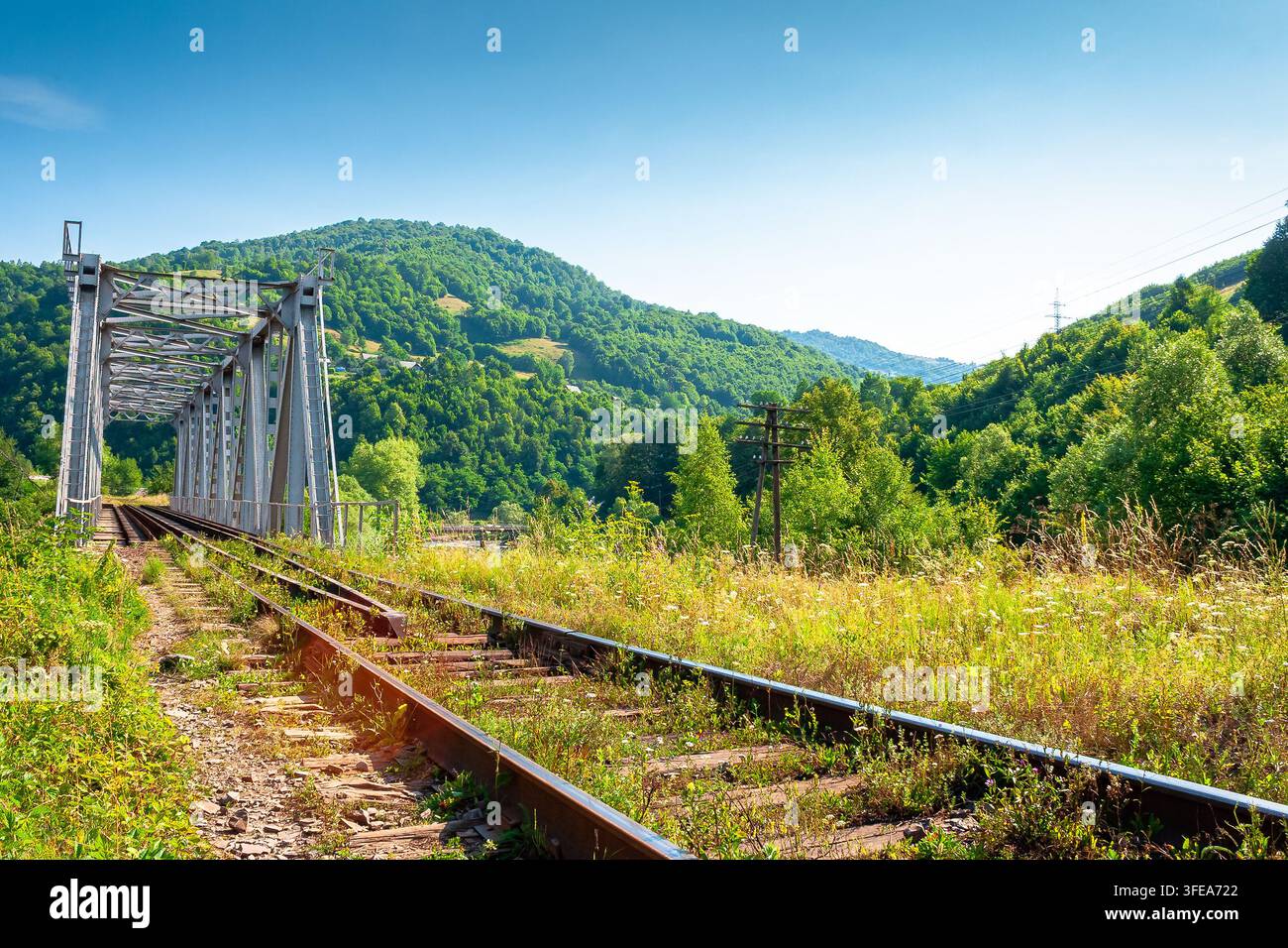 rail bridge in mountain landscape in summertime. outdoor adventures in highland of ukraine, rakhiv district on a sunny day Stock Photo