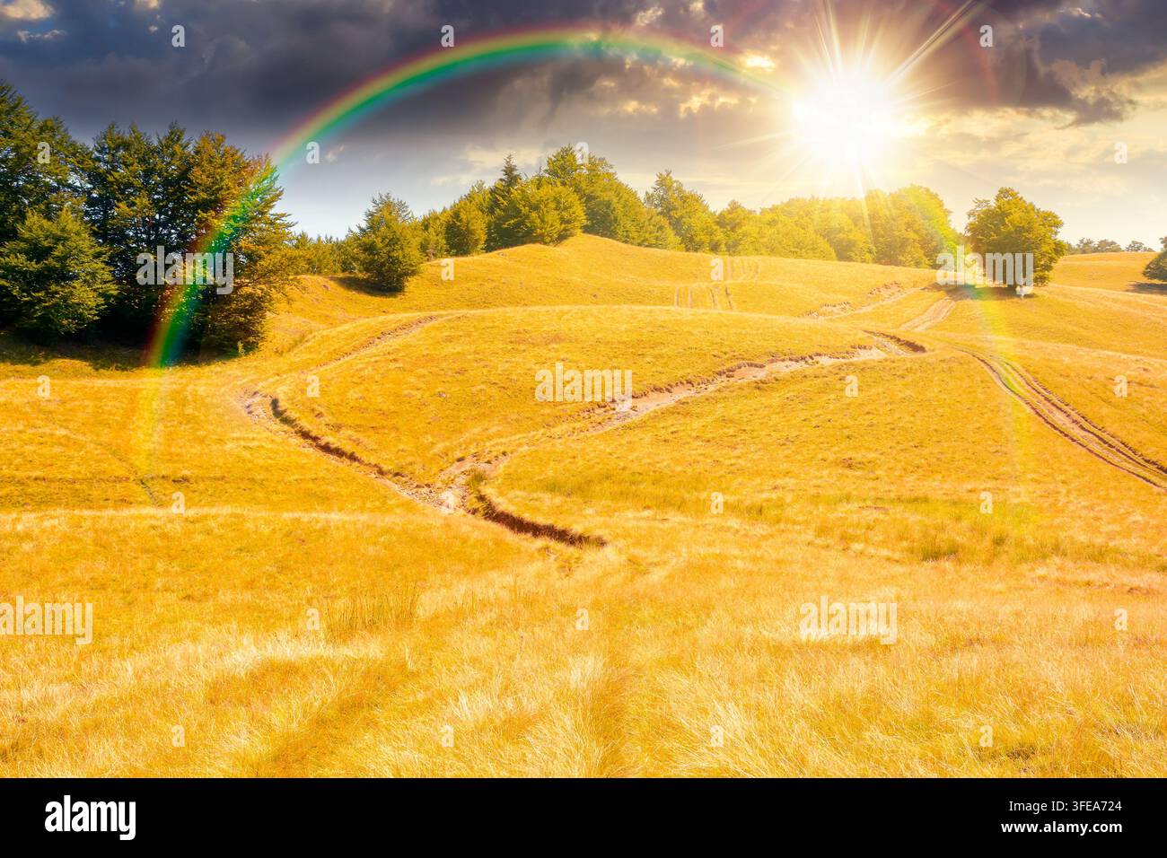 sunset over mountainous countryside landscape in late summer. alpine meadow and beech forest on top of a hill. mountain ridge in the distance underwit Stock Photo