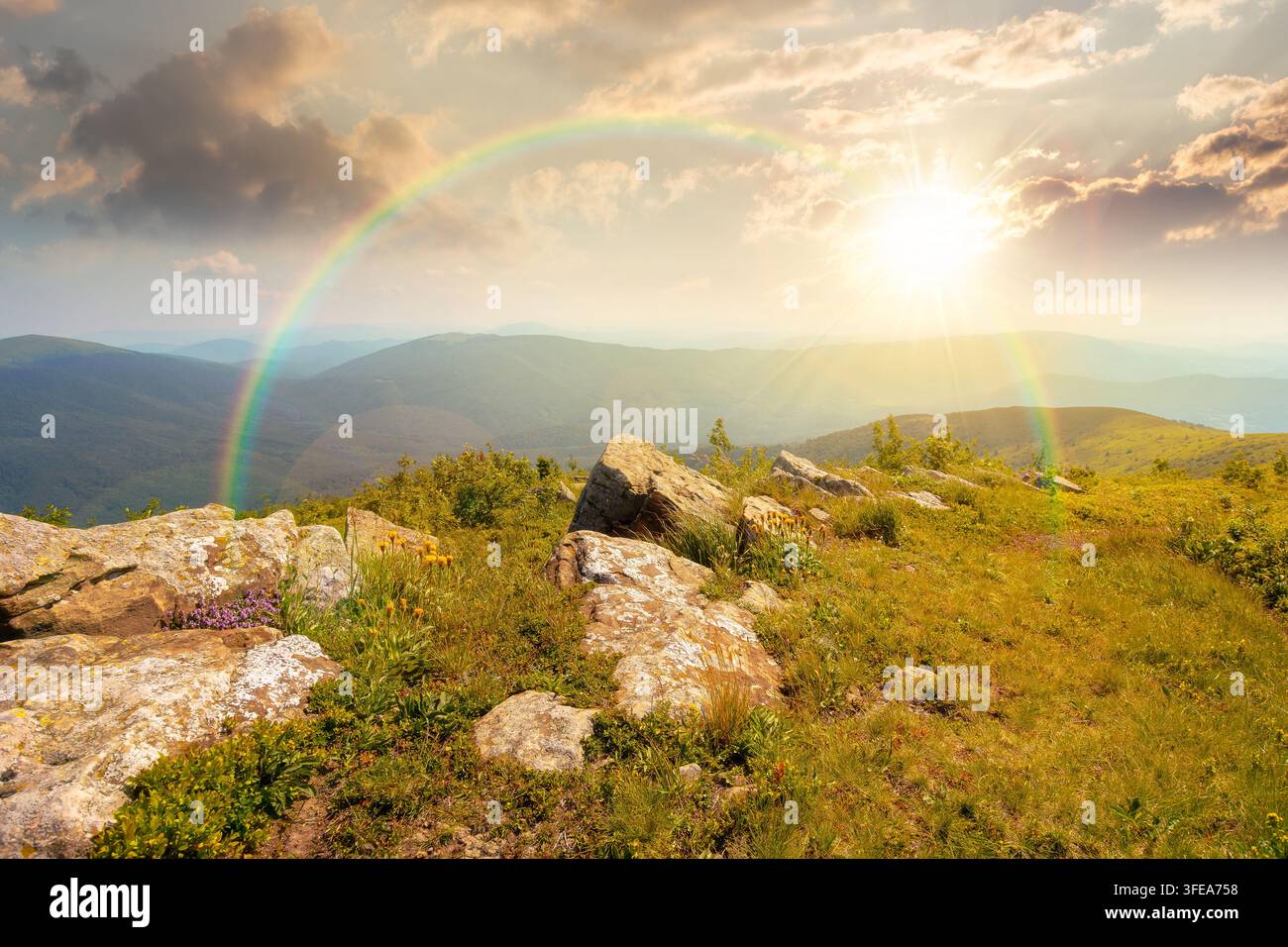 Carpathian mountain landscape in summer at sunset. scenic view of Transcarpathia region from the mnt. Smooth. alpine blueberry field with rock on the Stock Photo