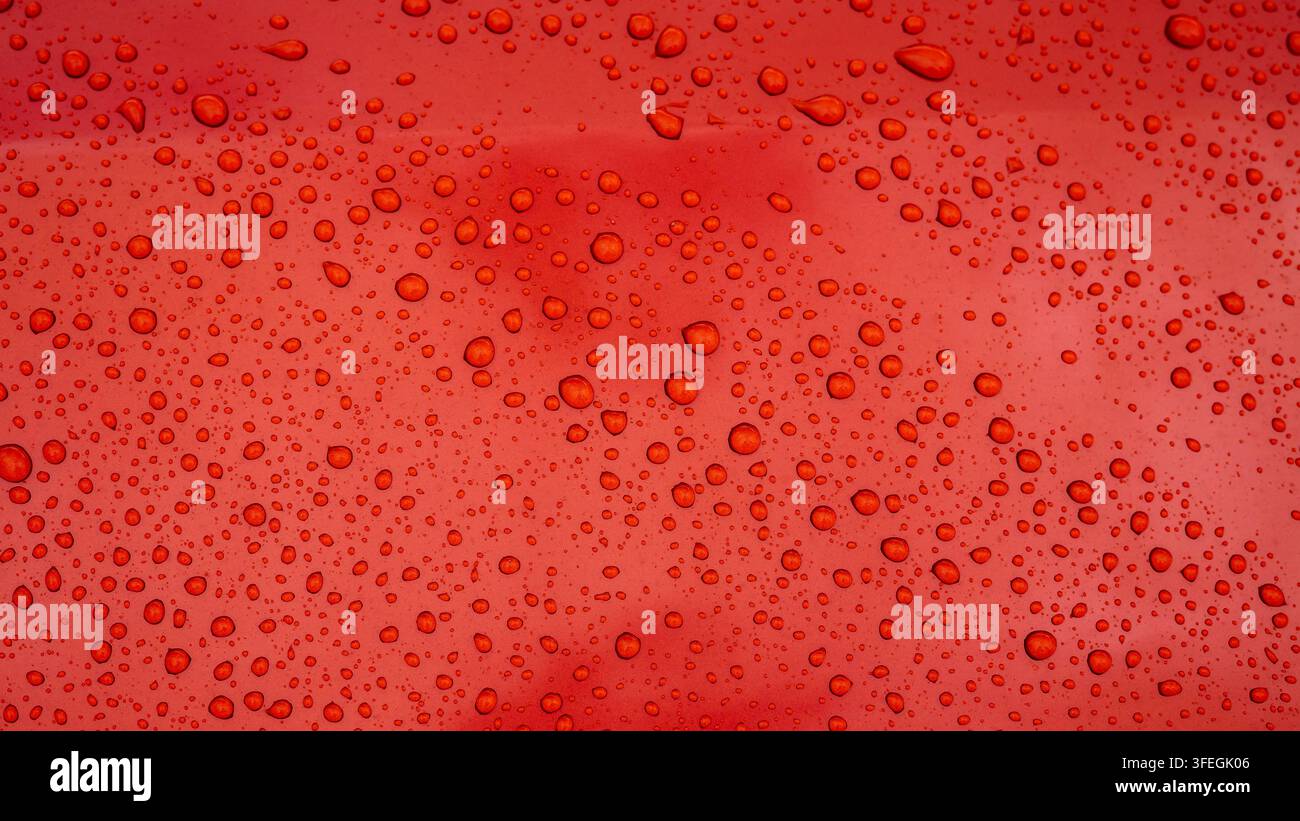 Red Water Drops on a Dark Metal Surface Stock Photo