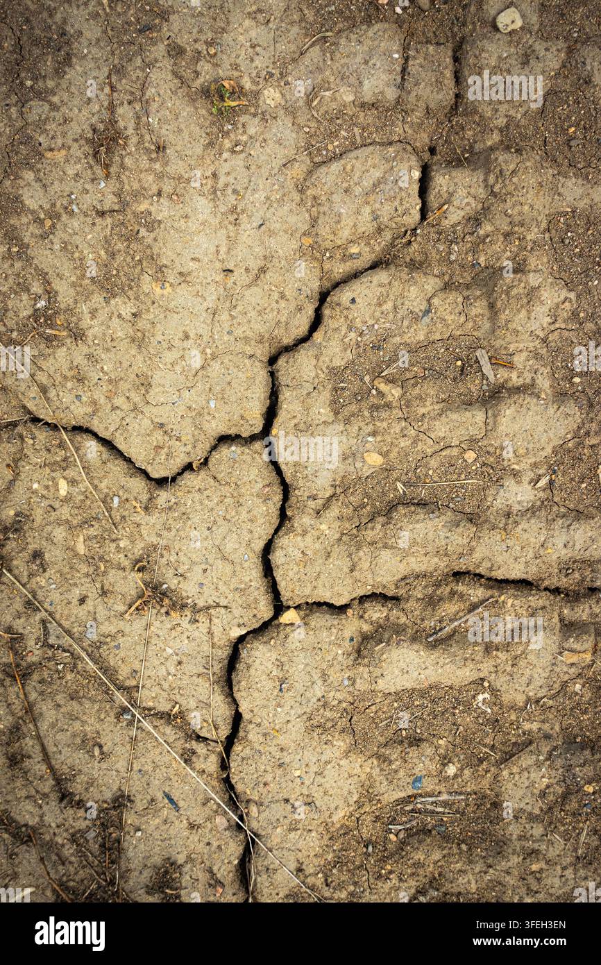 Close-up of dry cracked earth and hardened mud, showing drought-like ground texture, fissures and natural erosion patterns Stock Photo