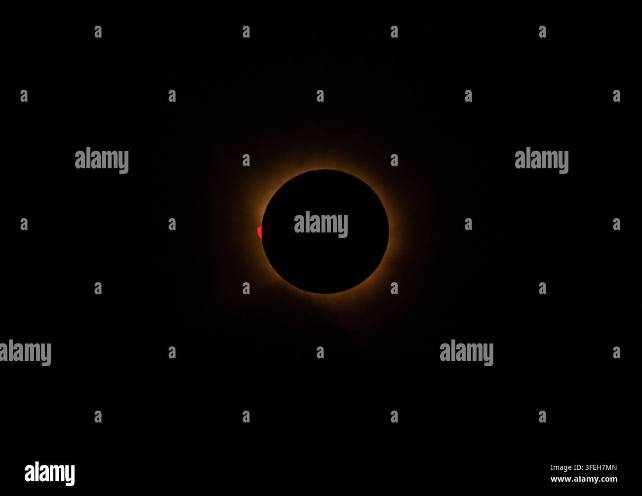 Stunning Sun Chromosphere Red Rim and Massive Flares During Totality Stock Photo