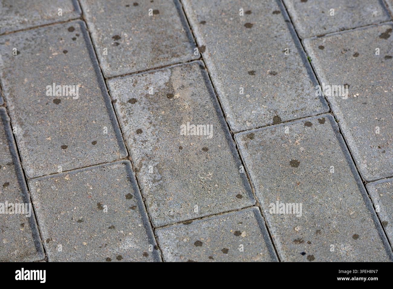 Flat top down view of rectangular grey interlocking concrete paving slabs showing subtle water drops on surface. Stock Photo