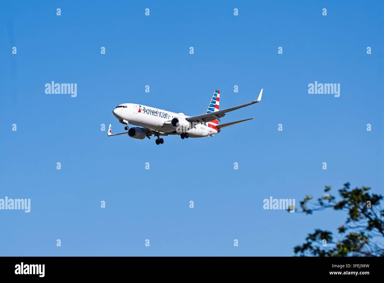 American airlines boeing 737 800 landing hi-res stock photography