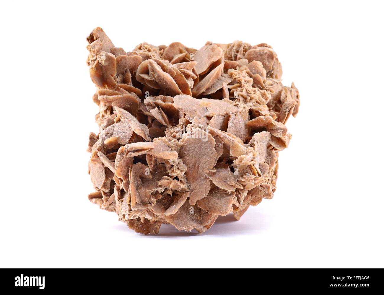Large Desert rose, crystal formation of gypsum and sand on white background. It is considered a healing stone. Stock Photo