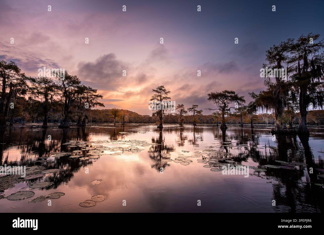 Dome Reflection Scenic reflection cypress trees hi-res stock photography and images - Alamy