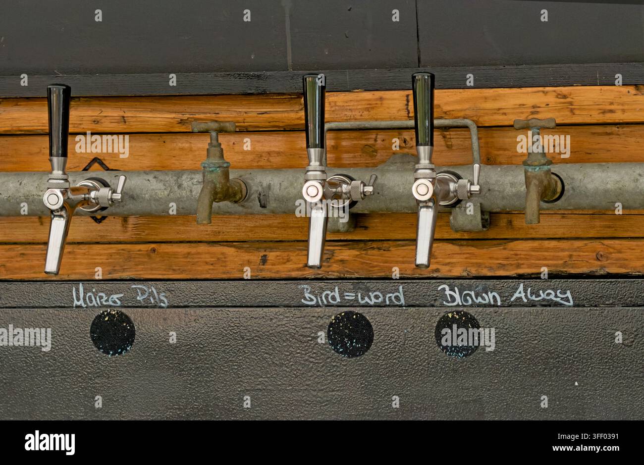 Craft beer taps in a Mainz taproom, including Kaiser Pils, Bird Is the Word and Blown Away, illustrating modern draught beer culture. Stock Photo