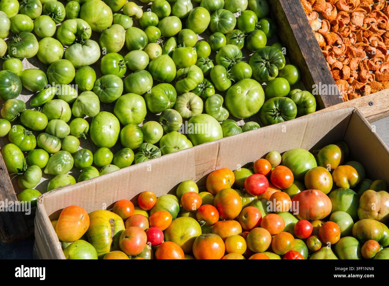 Green and brown tomatoes in boxes. Many different natural vegetables Stock Photo