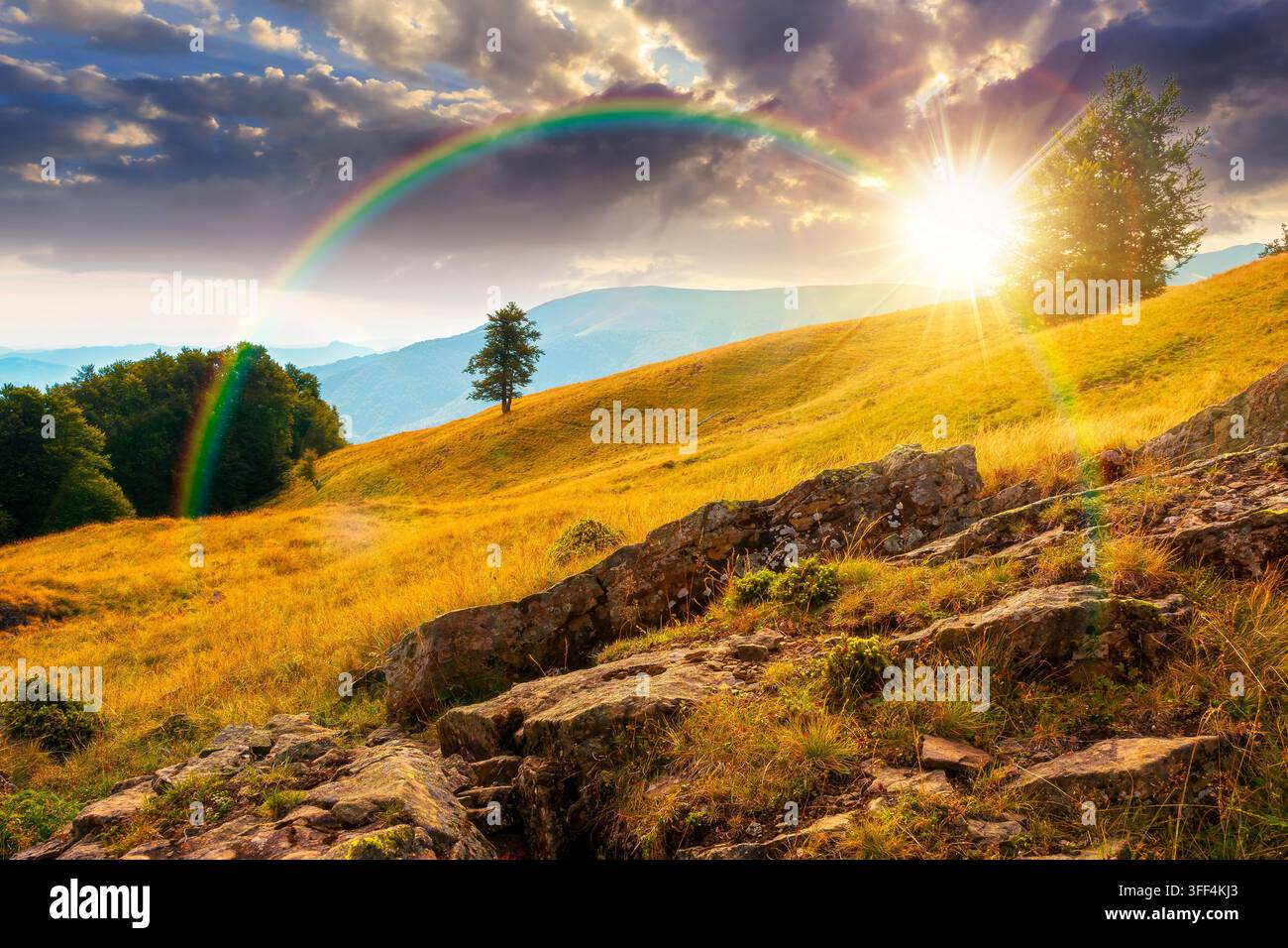 sunset over mountain field. countryside late summer view with beech forest on the grassy hill. fluffy clouds on a dramatic sky. wonderful nature backg Stock Photo