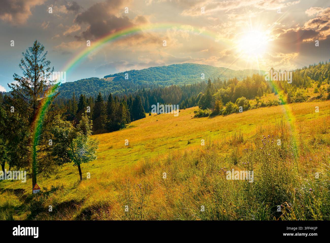 sunset over countryside mountain landscape in summer. view of Borzhava mountain ridge behind the green pasture. field near coniferous forest. evening Stock Photo