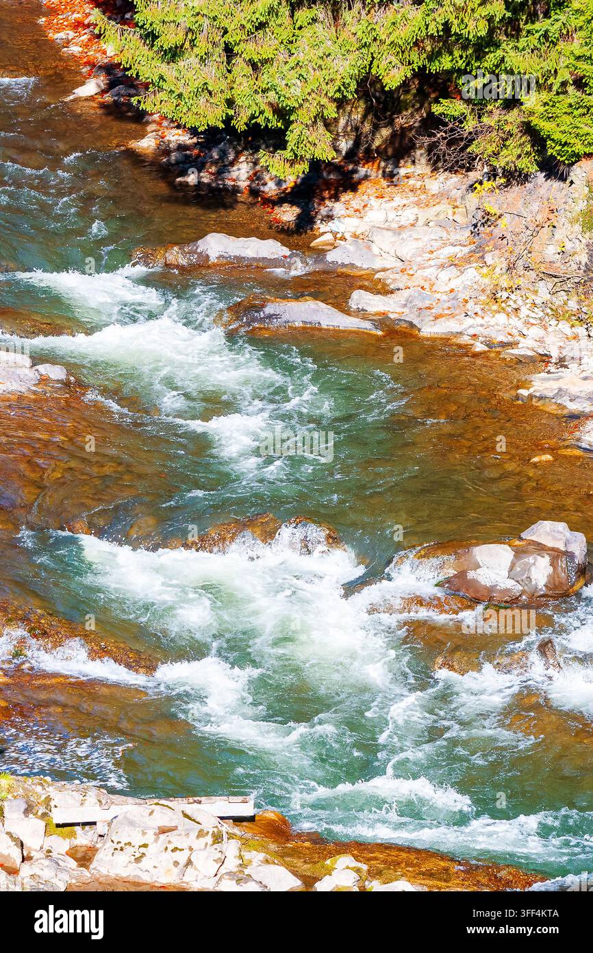 Tereblya river top view. water rocks on a sunny autumn day. Transcarpathian nature background. scenery in the forest of Synevyr national park Stock Photo
