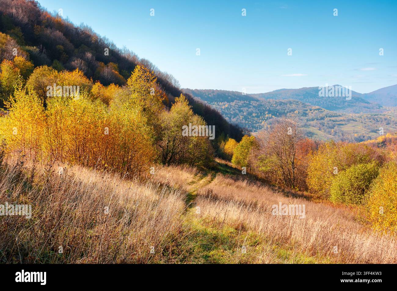 countryside landscape in mountains. beautiful view of carpathians with meadows rolling through forested hills. wonderful weather in autumn. deciduous Stock Photo