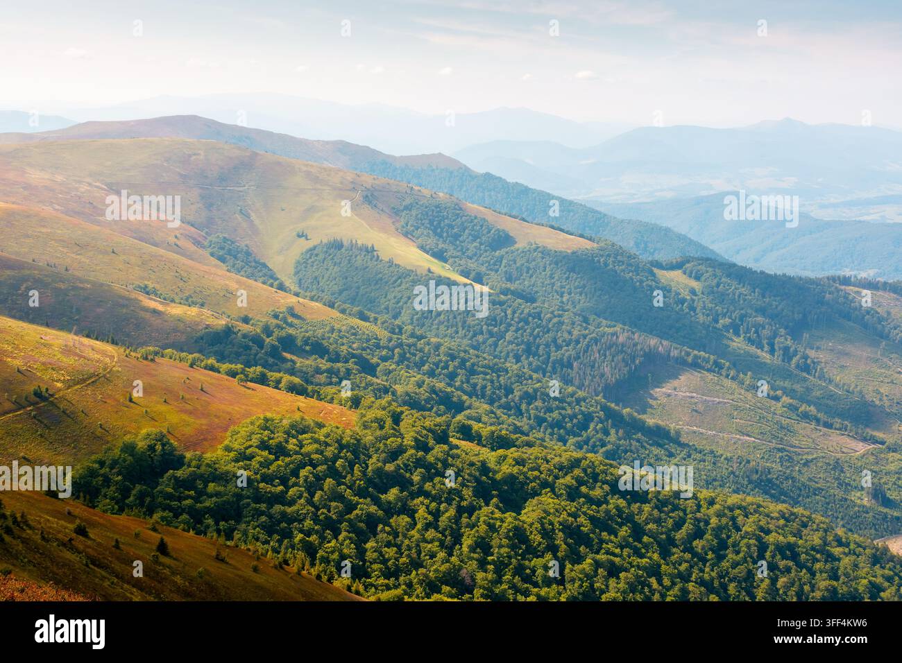Carpathian mountain landscape in late summer. scenic view of Transcarpathia region from the Great Summit. colorful alpine blueberry field on Polonyna Stock Photo