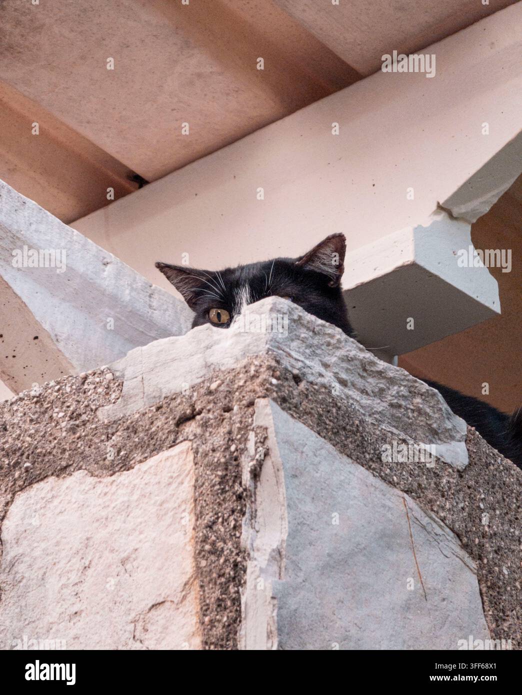 A black and white cat is hiding behind a textured stone pillar. Only its golden eye and ears are visible. The setting appears to be a quiet place in a Stock Photo