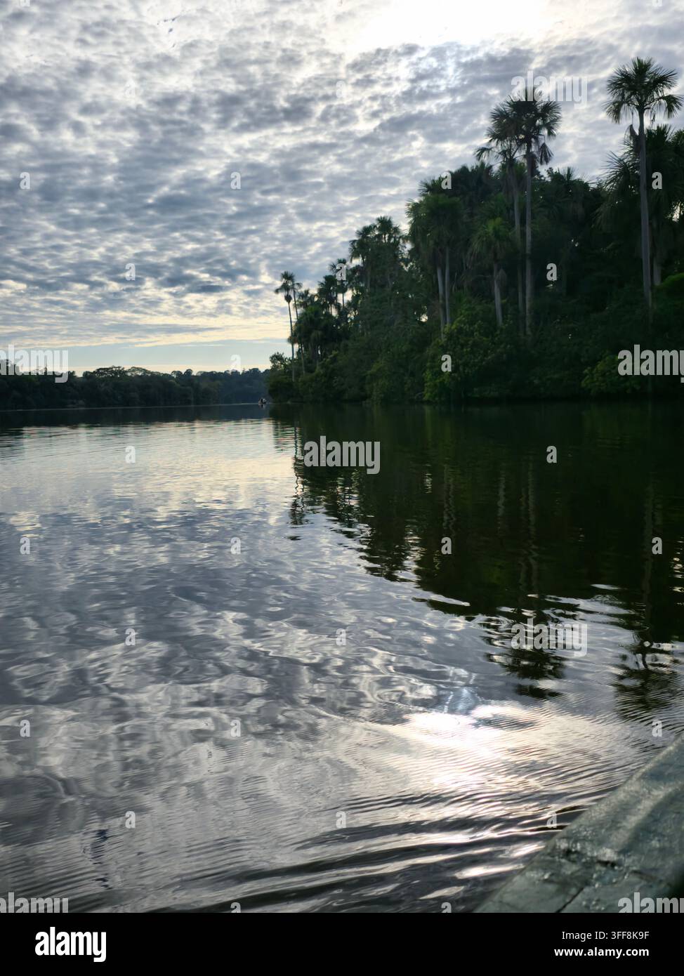 Reflections in amazon river - Smartphone Captured Stock Image