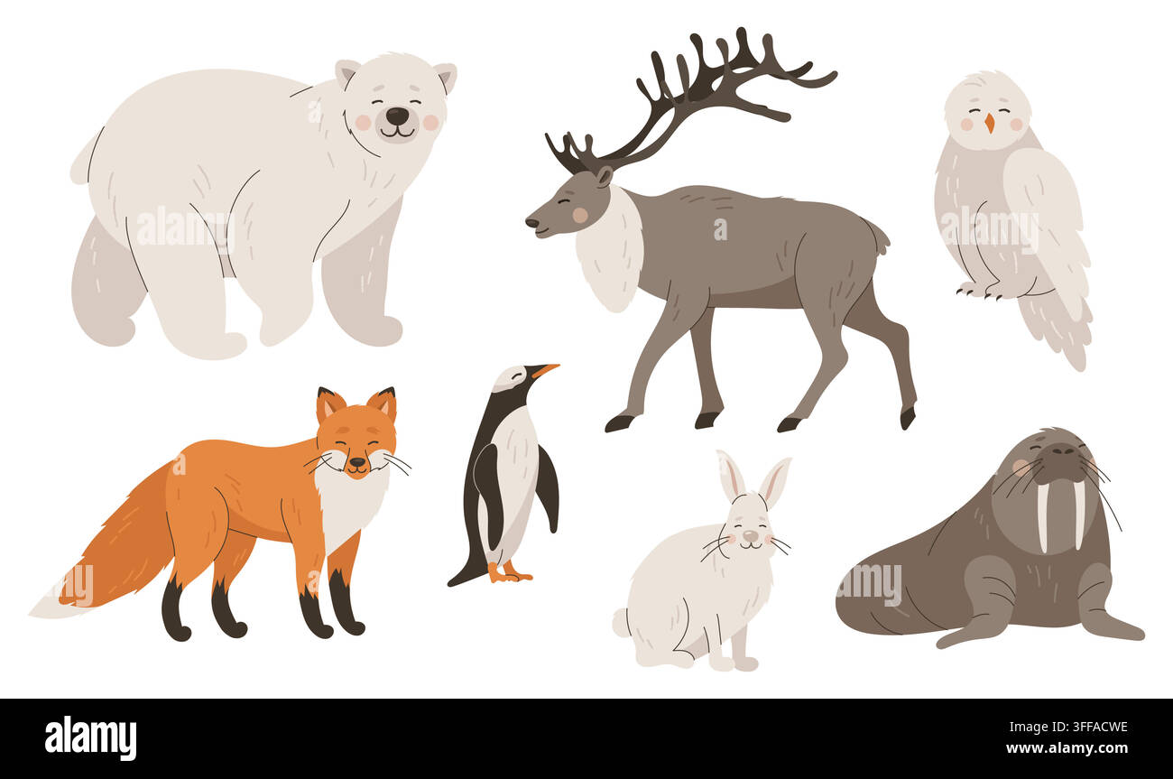 Cute arctic and polar animals collection vector flat set Stock Vector