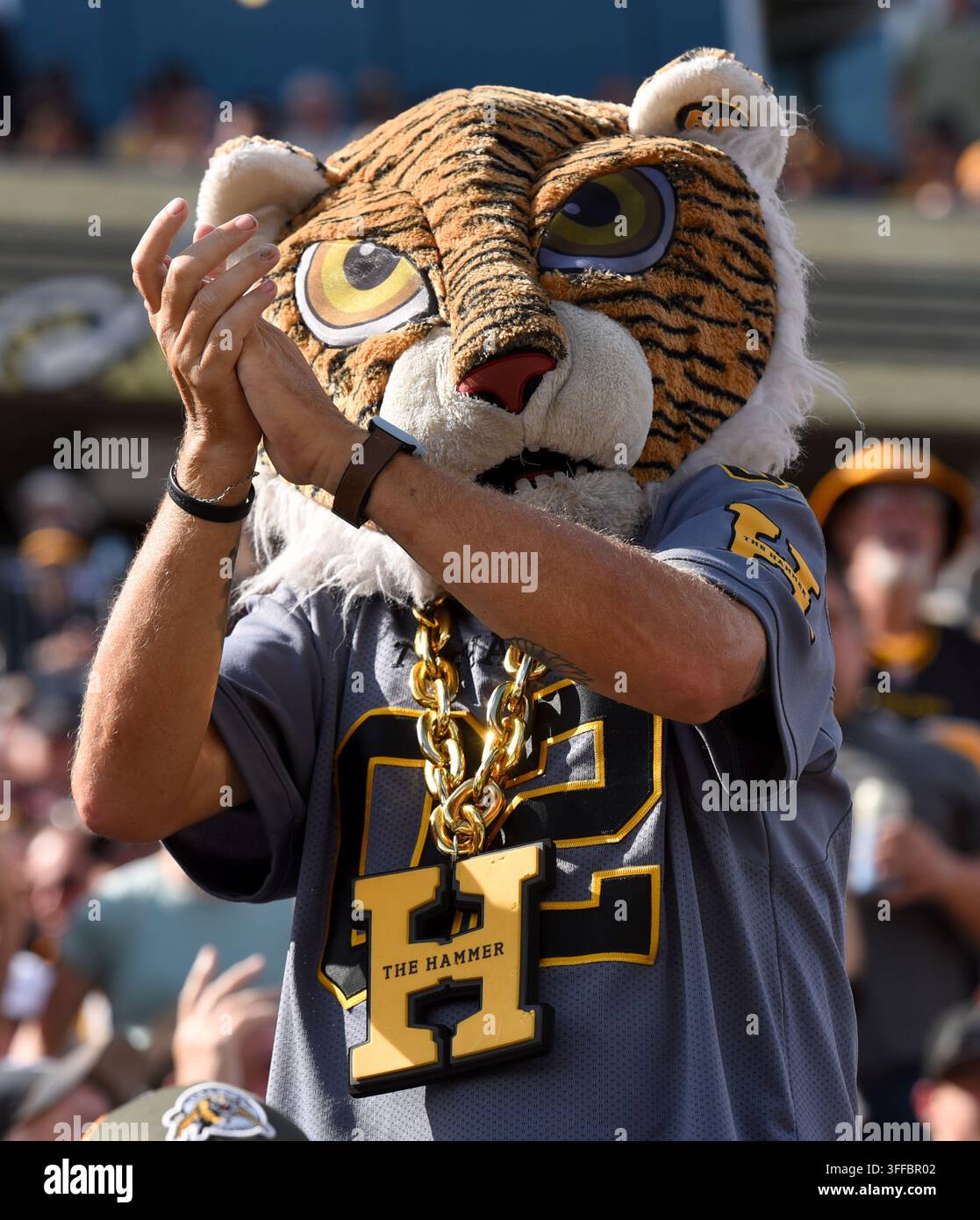 a-hamilton-tiger-cats-fan-cheers-during-the-first-half-of-a-canadian