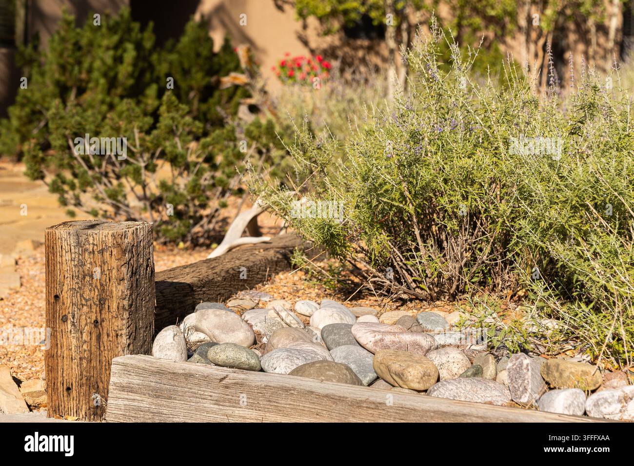 Xeriscape in New Mexico Garden Stock Photo