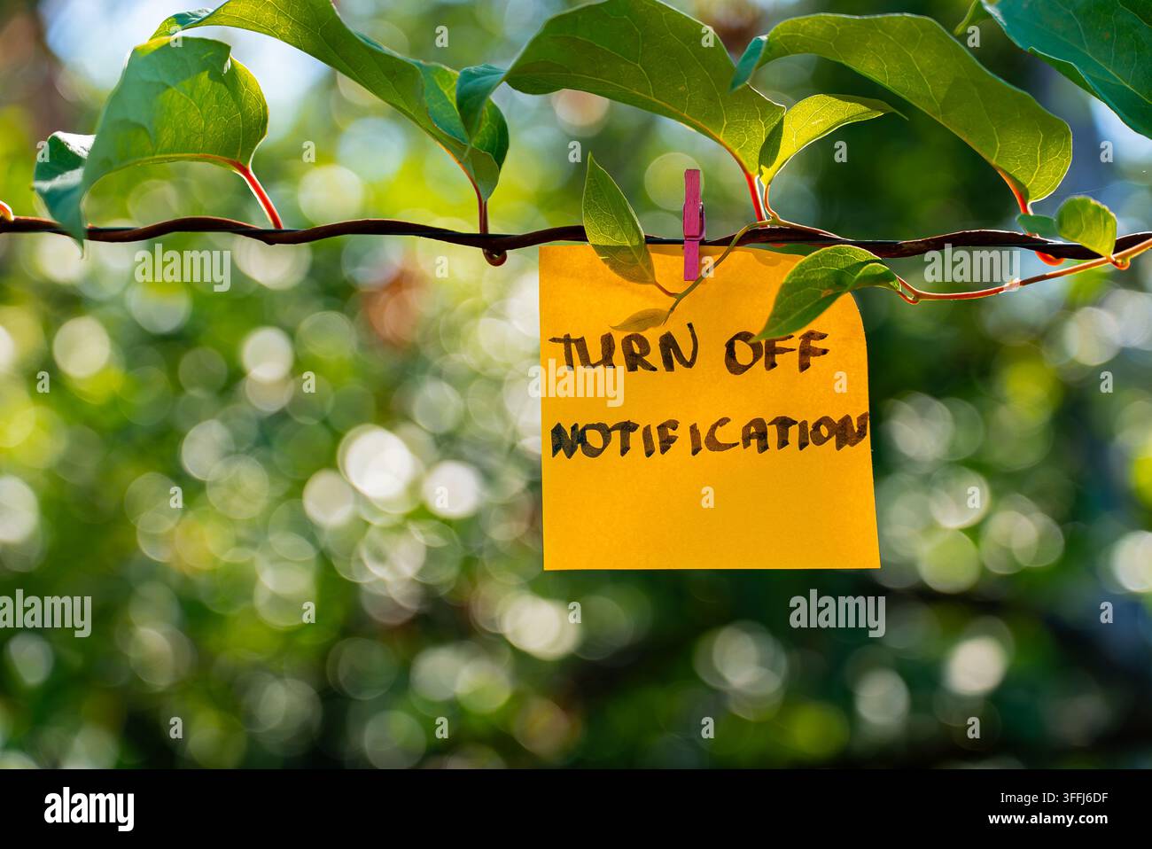 Paper note with TURN OFF NOTIFICATION messages hangs from rope wrapped ...