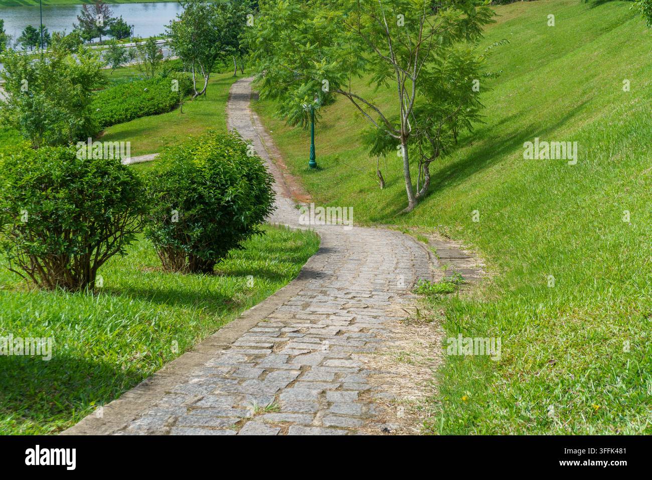 Stone pathway winding through lush green park. Stock Photo
