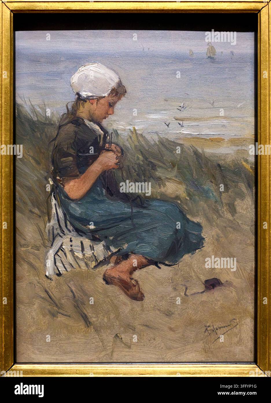 Netherlands in 1900 hi-res stock photography and images - Alamy