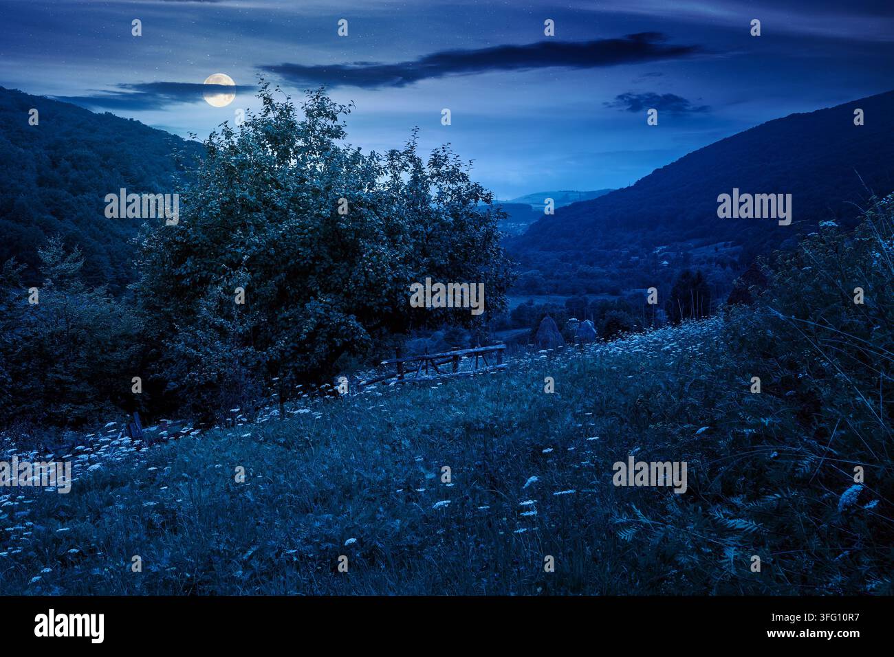 rural mountain landscape of ukraine at night. countryside scenery of transcarpathia in summer. forested hills and grassy meadows under dark sky in ful Stock Photo