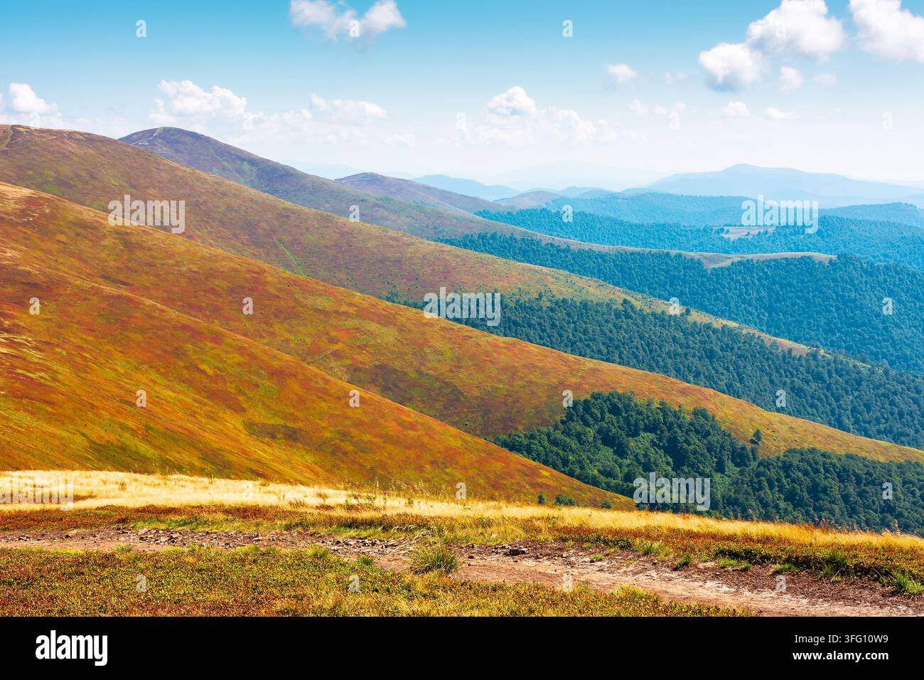 alpine nature of Carpathian mountain range in early autumn. colorful slopes of Ukrainian highland landscape Stock Photo