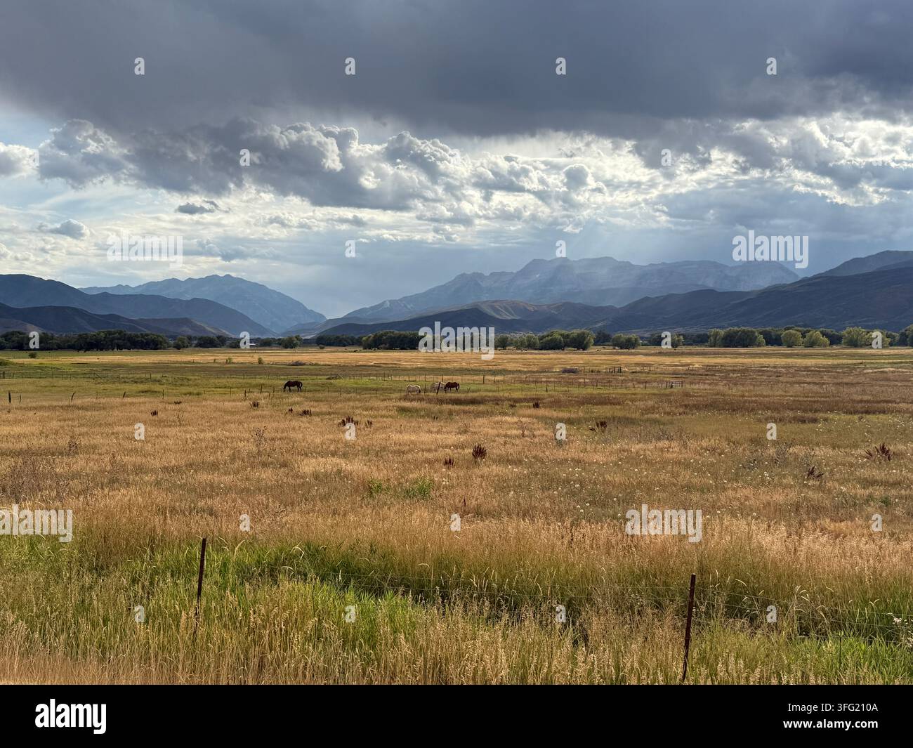 Utah Mountains - Smartphone Captured Stock Image