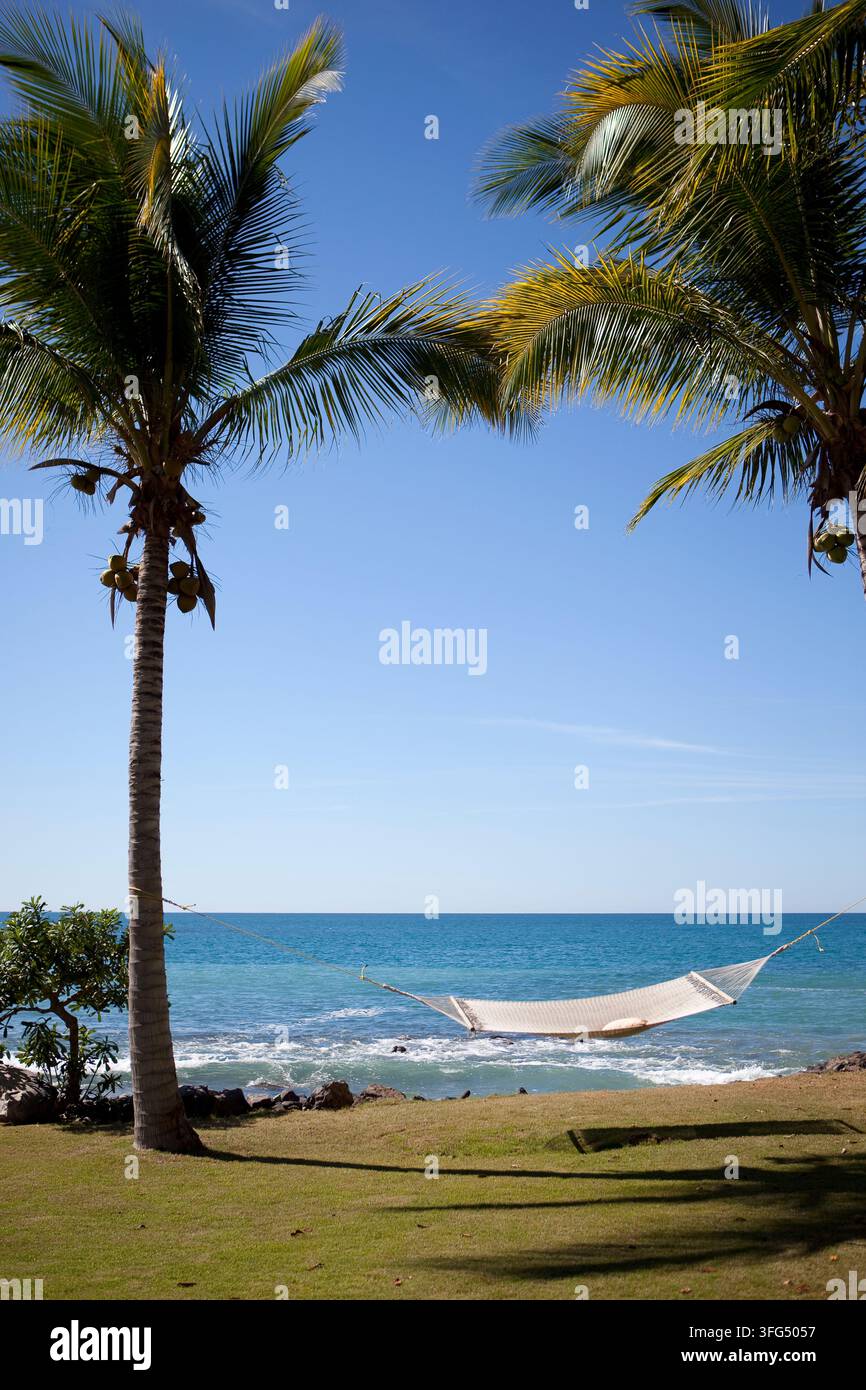 Hammock + palm trees above ocean. Stock Photo