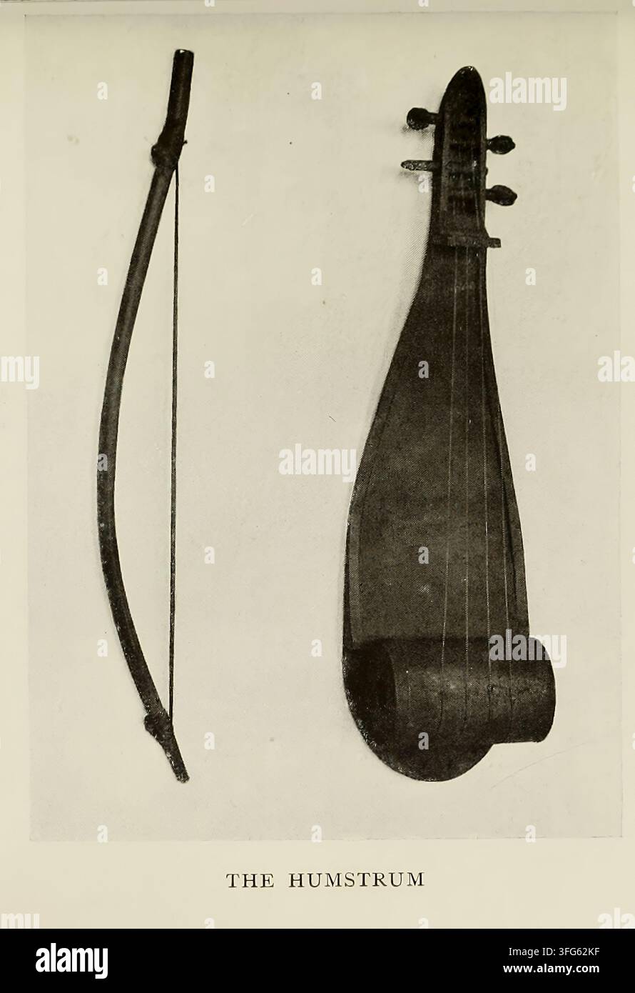 Bowed stringed instruments hi-res stock photography and images