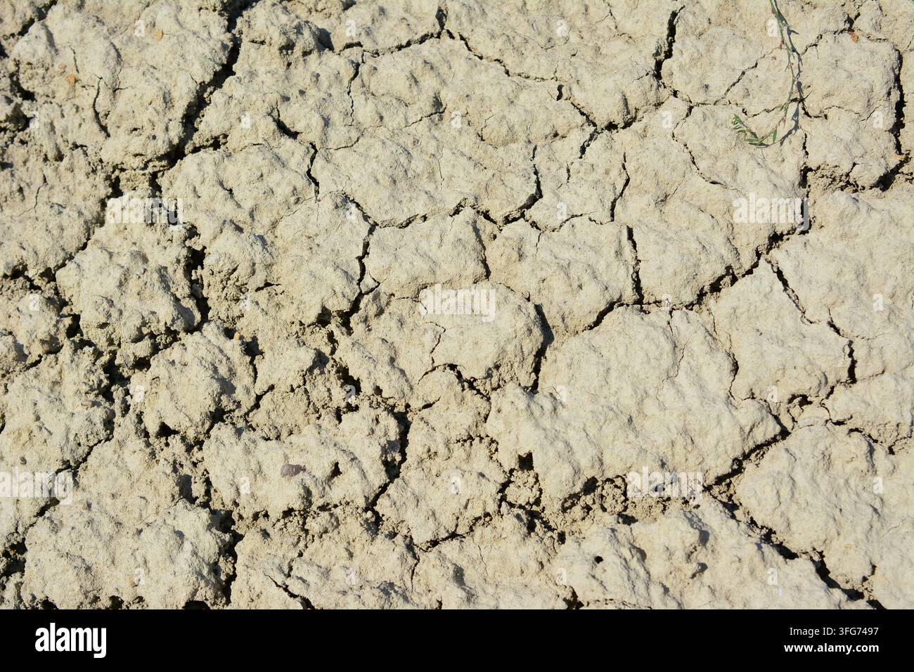 Cracked Dry Earth Surface background, high angle view Stock Photo