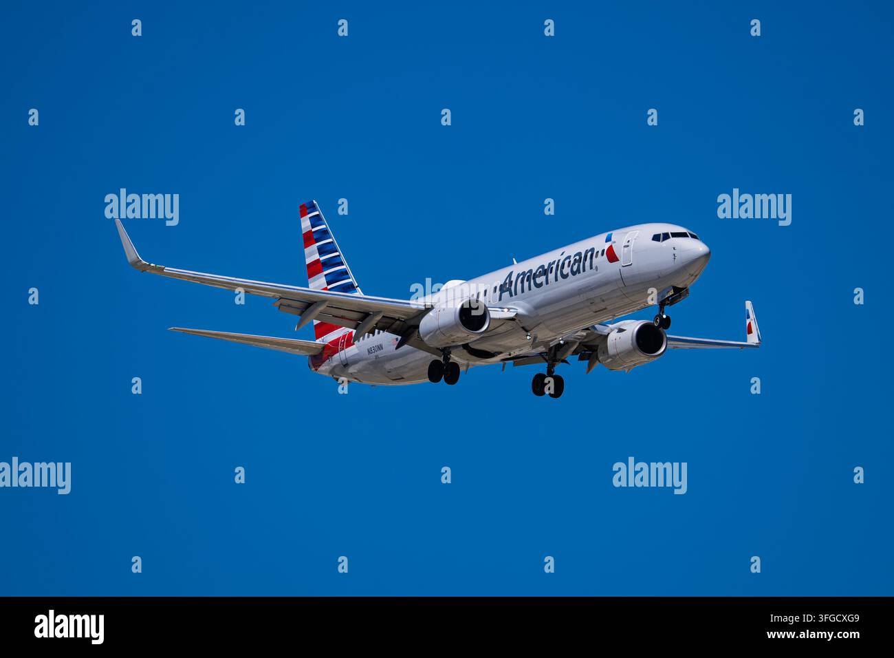 American airlines boeing 737 800 hi-res stock photography and