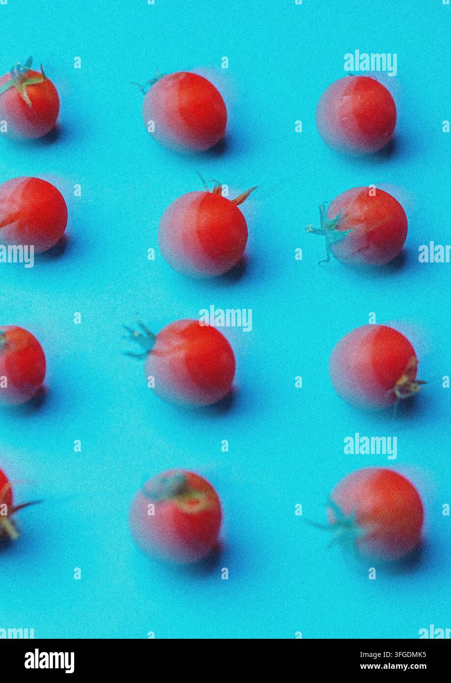 Fresh Cherry Tomatoes on a Light Blue Background Stock Photo