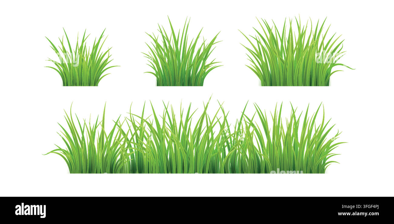 Easter grass. 3d green bush, tuft plant border or meadow lawn field. Garden leaf vegetation, agricultural farm leaves. Spring nature plant. Realistic isolated elements for design. Vector background Stock Vector