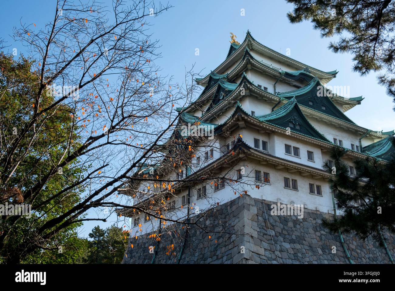 Shachihoko hi-res stock photography and images - Alamy