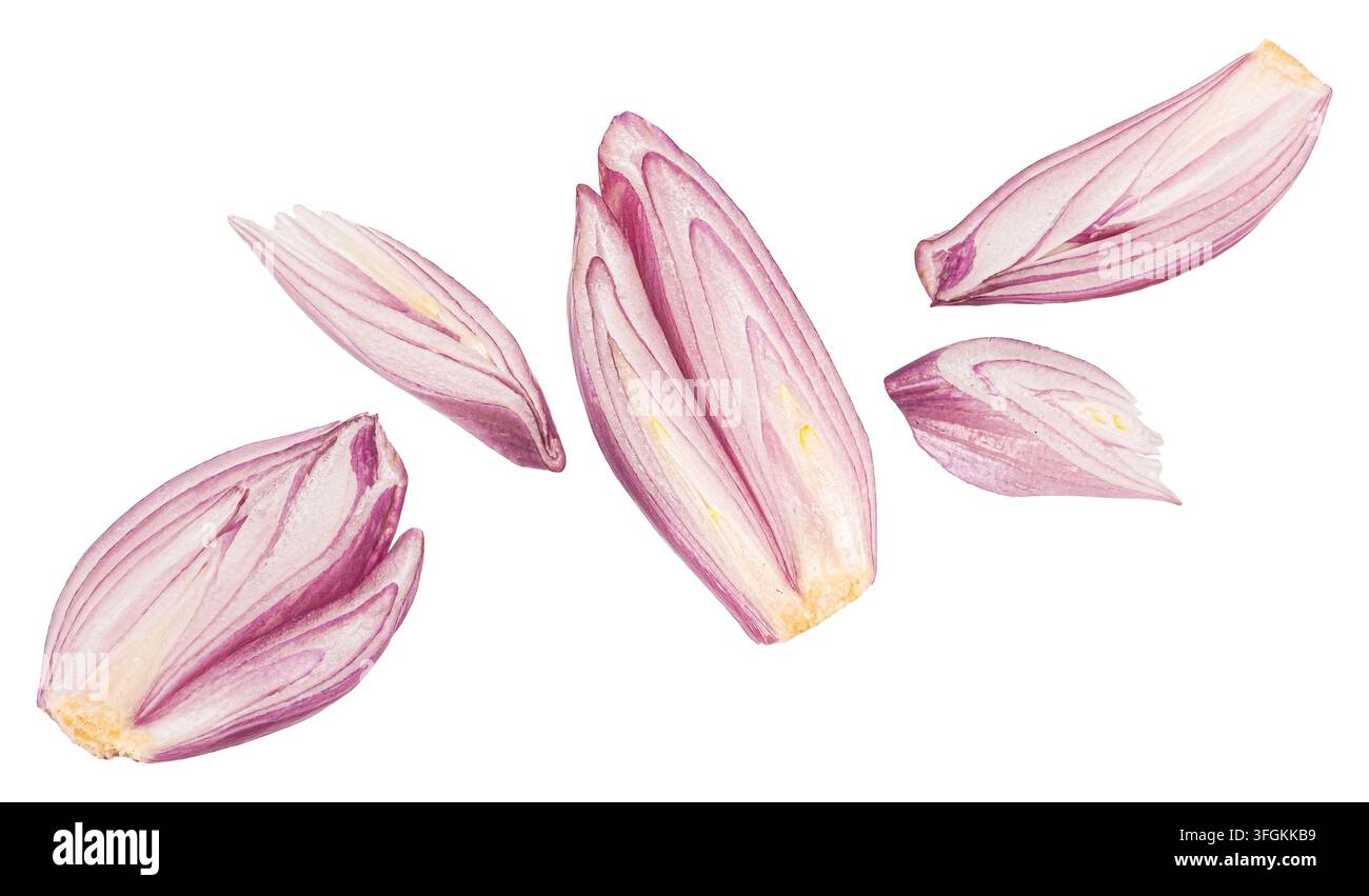 Shallot slices isolated on white background Stock Photo