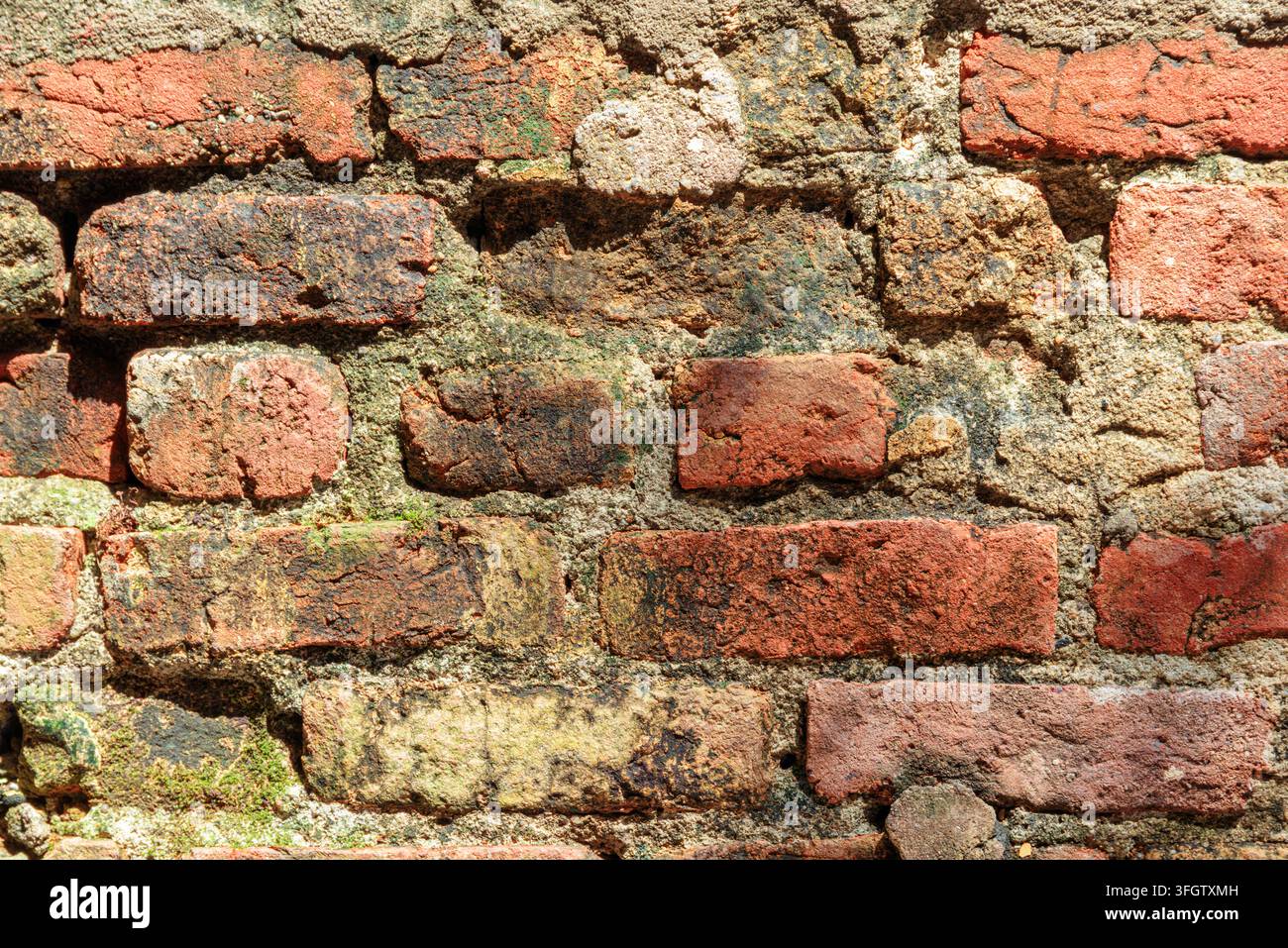 Red brick wall background. Moistly mossy brick masonry surface Stock Photo
