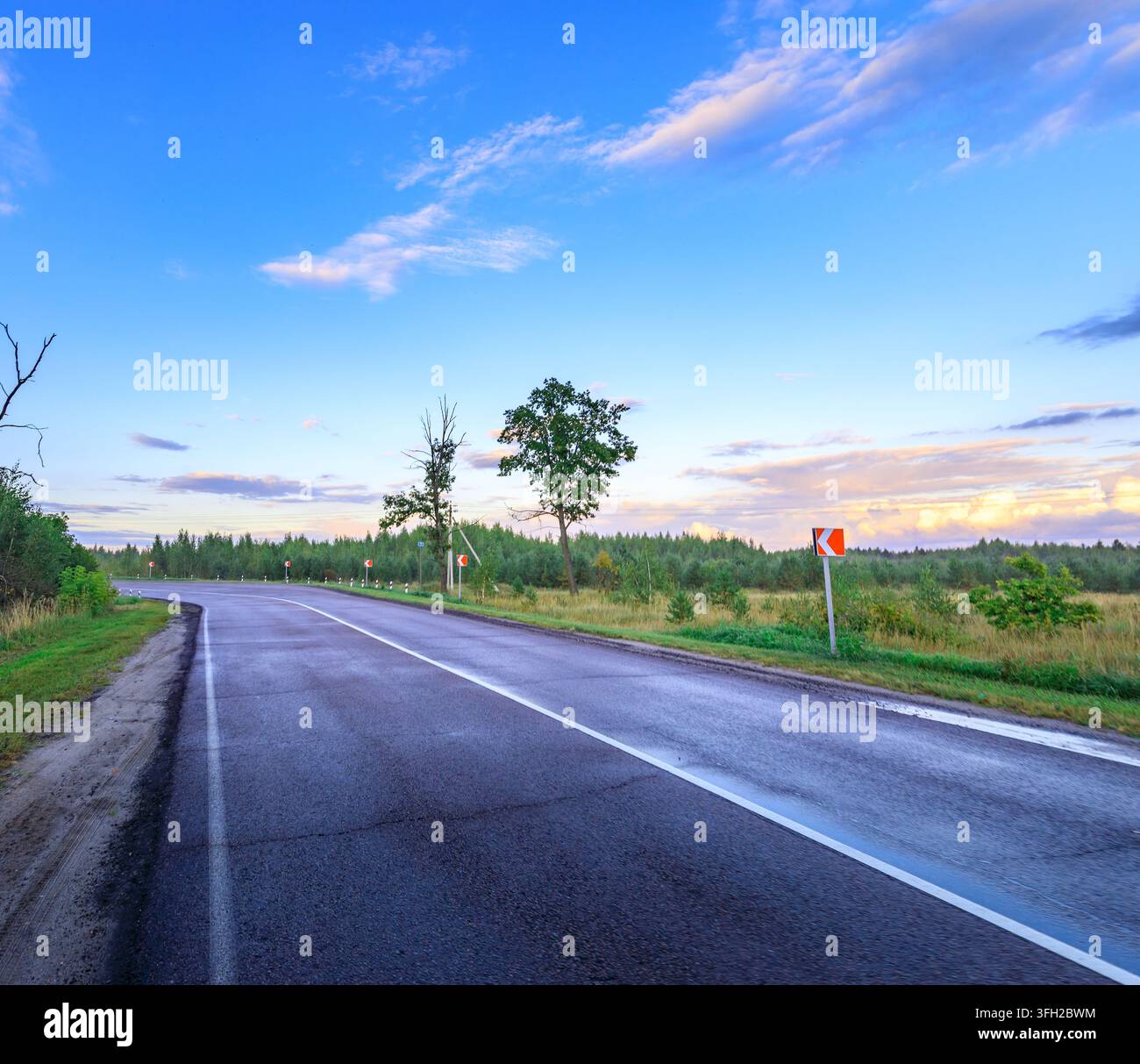 Road Stretches Through Quiet Countryside Under Bright Blue Sky Trees road-stretches-through-quiet-countryside-under-bright-blue-sky-trees
