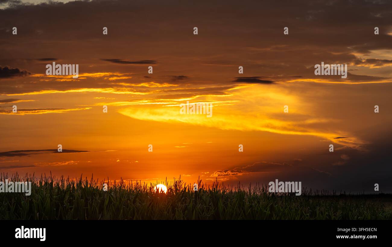 Intense orange sunset glowing beneath layered clouds above a cornfield Stock Photo