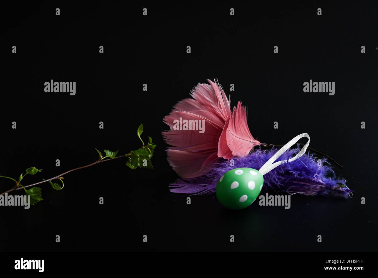 Easter still life with a green spotted egg, colorful feathers and a fresh birch twig arranged against a dark black background. Stock Photo