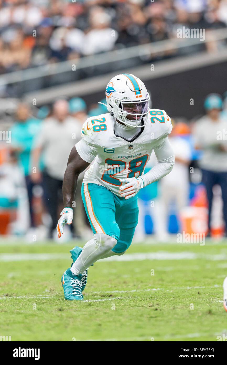 -2 deductive coding categories for phase 1 analysis |... Miami Dolphins running back De'Von Achane (28) against the Las Vegas ...
