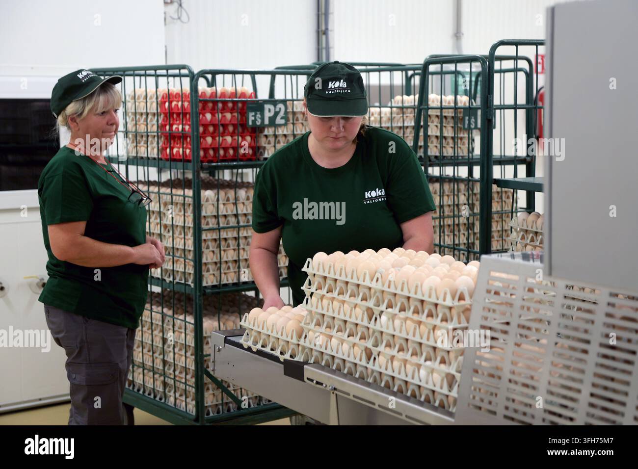- banquet event order beo creating beos event Images... A workers sort newborn chickens inside Koka's newly opened €20 million ...