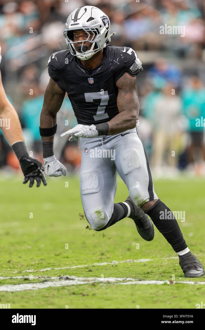 -2 deductive coding categories for phase 1 analysis |... Las Vegas Raiders linebacker Quay Walker (7) against the Miami Dolphins ...