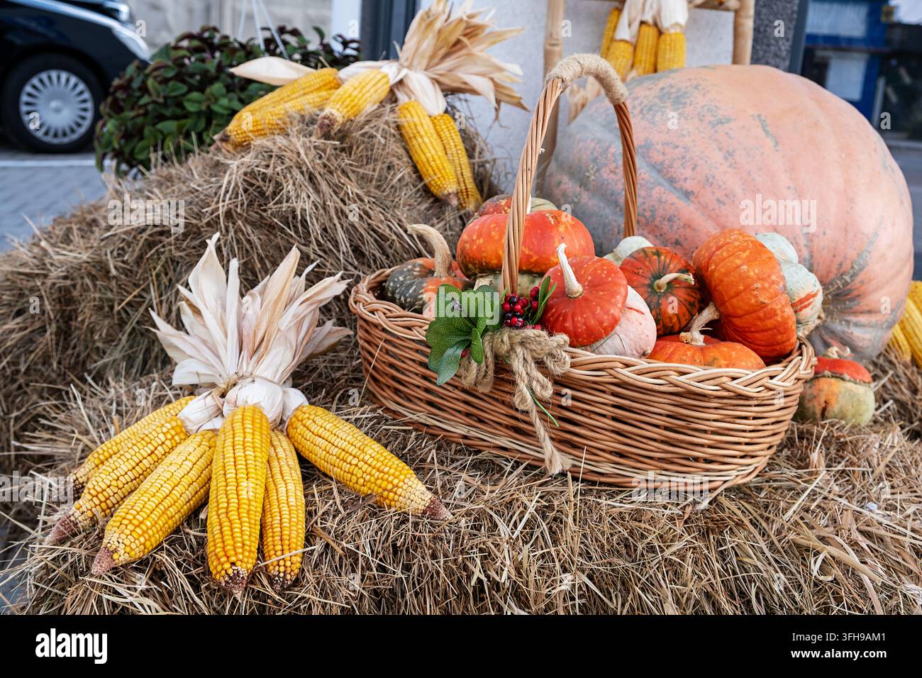 Autumn basket with small pumpkins and ears of corn in an autumn park on a haystack. Autumn still life. Stock Photo