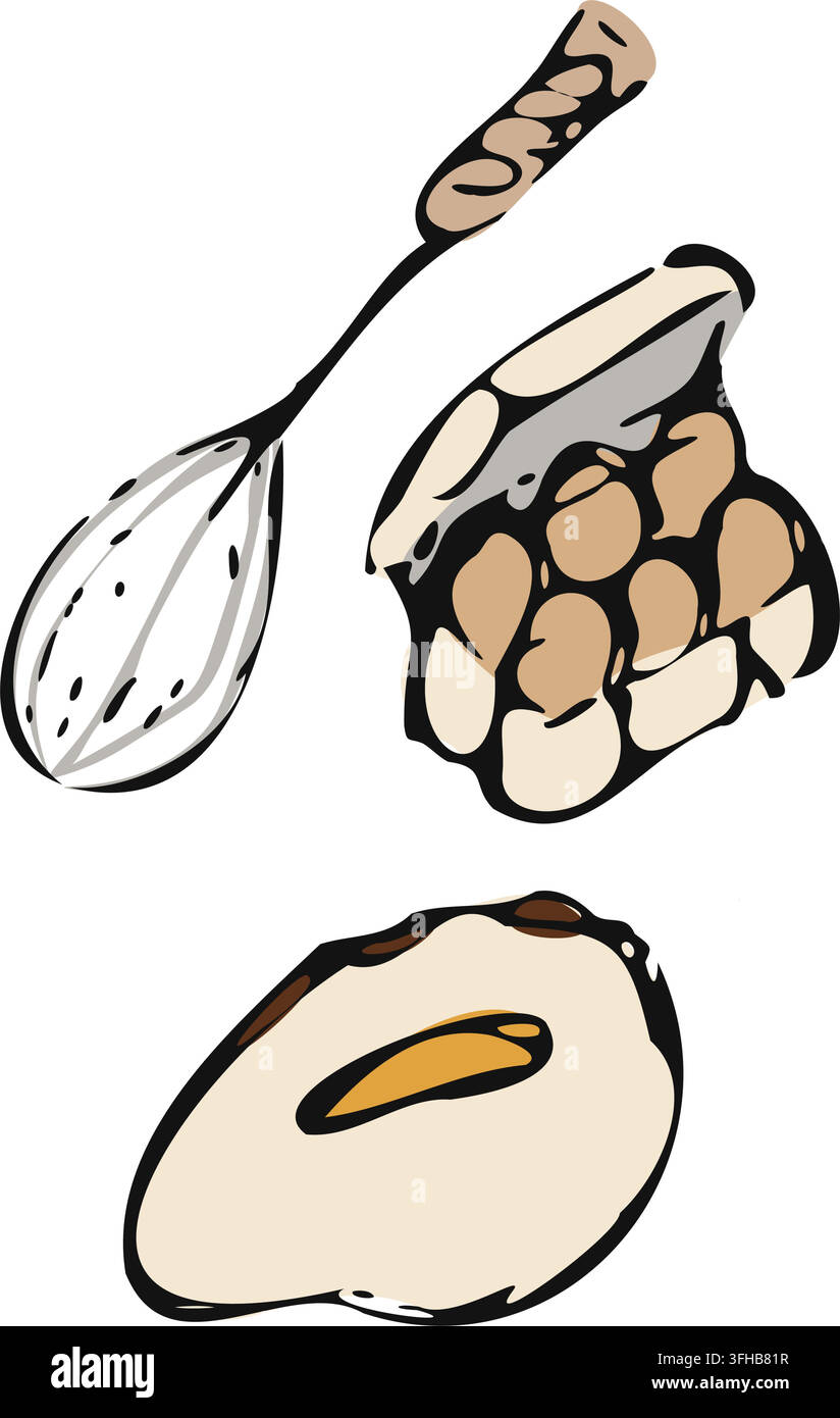 Hand Drawn Baking Ingredients And Tools Stock Vector