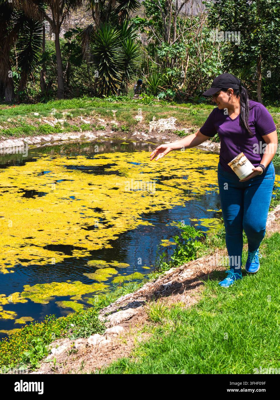 Vector Fish Pond Woman feeding tilapia fish beside a pond surrounded by lush vegetation ...