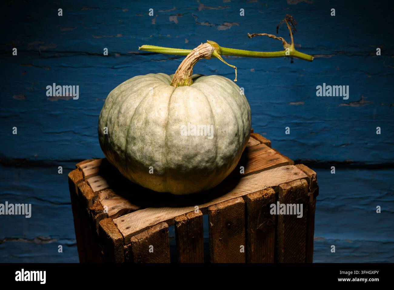 Pumpkin on wooden crate against blue wall in moody lighting. Minimal autumn still life with squash and rustic texture Stock Photo