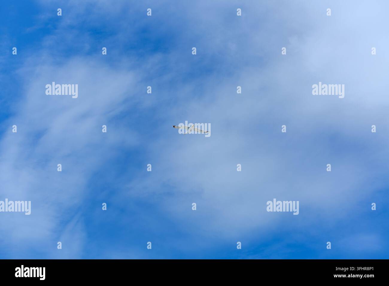 Summer blue sky cloud gradient light white background. Beauty clear cloudy Stock Photo