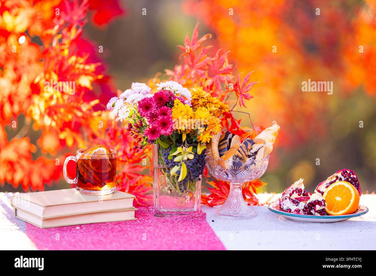 Autumn Garden Fall Blanket Cozy Autumn Maple Leaves Warm Fall Picnic autumn-garden-fall-blanket-cozy-autumn-maple-leaves-warm-fall-picnic