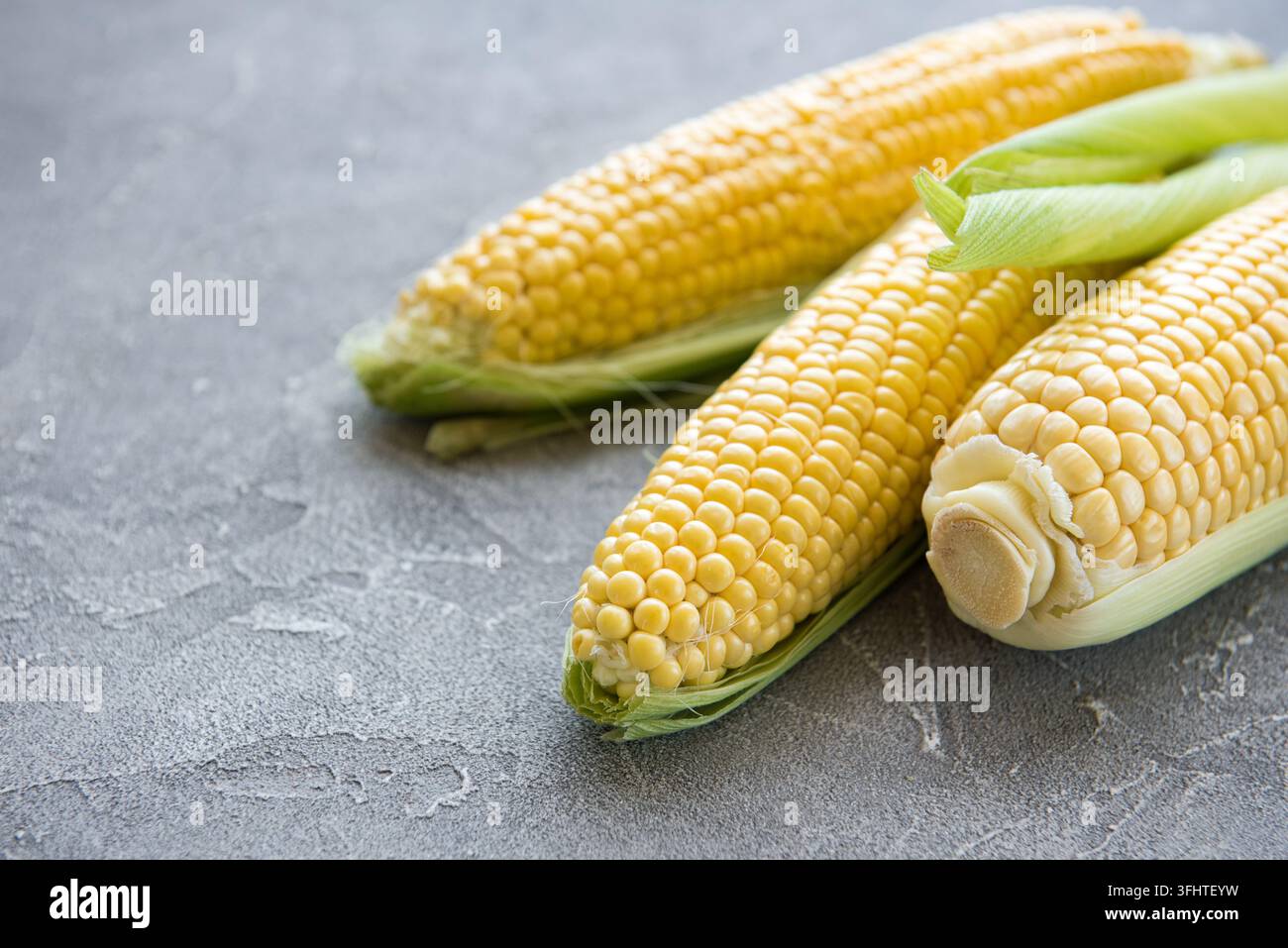 Fresh corn on cobs Stock Photo